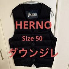 美品　HERNO ナイロン シングル ダウンジレ size 50 値下げ不可 美品 HERNO ナイロン シングル ダウンジレ size 50 値下げ不可
