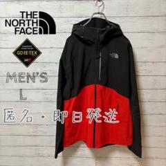 THE NORTH FACE GORE-TEX マウンテンパーカー L