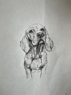 犬のスケッチアート（フレーム付き）wan-133