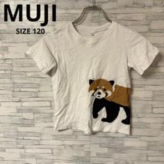 ムジルシリョウヒン　Tシャツ　【120】　ホワイト　レッサーパンダ　綿100％