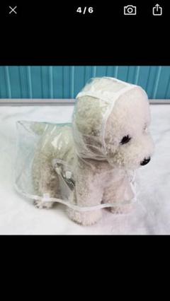 L.Mサイズ ドッグウェア犬用レインウェアおしゃれかわいい服 レインウェア