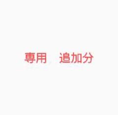 専用出品追加分3