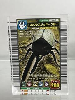 2025年最新】ムシキング リッキーブルーの人気アイテム - メルカリ