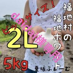 daidai様専用 福地村産 土付き 2L 5kg 青森県産にんにく 半乾燥