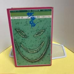 ザ・テロルー第３巻（彷徨）ー