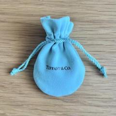 Tiffany ティファニー TIFFANYアクセサリー巾着袋新品 Tiffany & Co. - TIFFANY&Co ティファニー 箱 ジュエリーポーチ