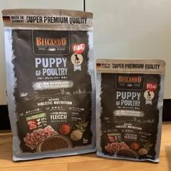 ドッグフード Belcando PUPPY GF POULTRY 3kg 61ghERS2dAL._UF894,1000_QL80_.jpg