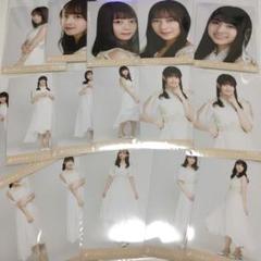 乃木坂46 生写真 しあわせの保護色 16枚まとめ売り
