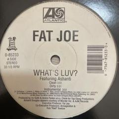超人気盤★Fat Joe What's Luv? シングルレコード