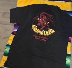 当時物 スペシャル パウエル ペラルタ マクギル 黒ベース XL 2025年最新】powell peralta xlの人気アイテム - メルカリ