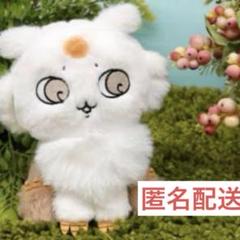 2025年最新】ぽてたま あのこの人気アイテム - メルカリ