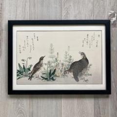 版画　歌麿　美人　手紙 巻物 恋文 額装　オブジェ　インテリア 喜多川歌麿・きたがわうたまろ（1753?-1806）