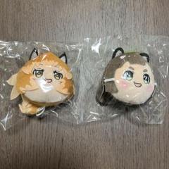 おしぐるみミニ へんないきものチャンネル きつねさんたぬきさん