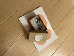プリュイ　ピアスのサムネイル