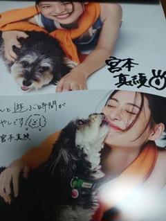 原田 葵・宮本真綾】直筆サイン入りフジテレビ アナウンサー