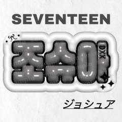 SEVENTEEN ウォヌ うちわ 29枚 トレカ まとめ売り SEVENTEEN ウォヌ うちわ 29枚 トレカ まとめ売り