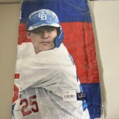 2025年最新】Yahoo!オークション -中日ドラゴンズ 実使用の中古