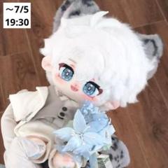 20cm着せ替えぬいぐるみ本体 マスター マスコット C20wlg65 期間
