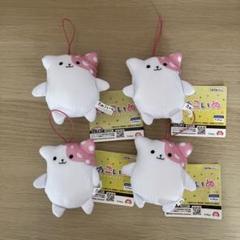 きのこいぬ