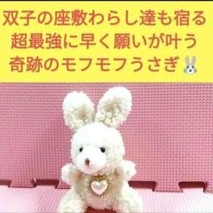 チョウピラコ 座敷童子 計6体宿る！熊のぬいぐるみ ボール