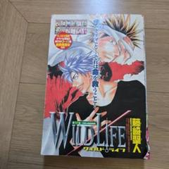週刊少年サンデー　27 2005年６月１５日号　中古