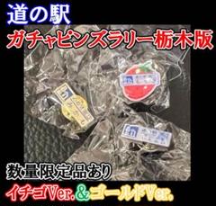 道の駅　栃木県版　ピンズ　コンプリート品 2025年最新】道の駅 ピンズ 栃木の人気アイテム - メルカリ