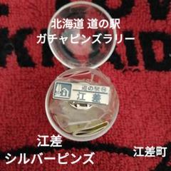 北海道　道の駅ピンズのみ2024版131駅2025年版コンプリート版自宅で待 北海道版 ガチャピンズラリー ｜ 道の駅 ガチャピンズラリー