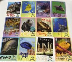 2025年最新】鳥羽水族館 70周年の人気アイテム - メルカリ
