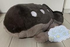 ふわふわ抱きぬいぐるみ ドオー ポケモンセンター