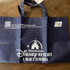上海ディズニーピントレバッグ収納