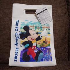 ディズニーランド  ショッパー風トートバッグセット　新品タグ付　TDR TDL ディズニーランド ショッパー風トートバッグセット 新品タグ付
