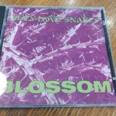 Holy Love Snakes / Blossom / サンディエゴHC