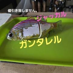 ジャッカル　ガンタレル①のサムネイル