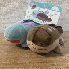 ポケモン　磁石でくっつくペアマスコット にたものどうし ヌオー＆ドオー