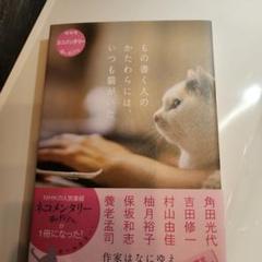 Amazon.co.jp: ネコメンタリー 猫も、杓子も。 松坂桃李