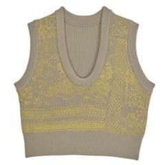 AMERI 2WAY LACE PAINTING KNIT TOP ニットベスト Ameri（アメリ）の「2WAY LACE PAINTING KNIT TOP（ニット