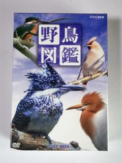 野鳥図鑑 DVD-BOX 4枚組