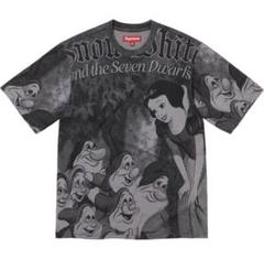 Supreme Snow White S/S Top Greyのサムネイル