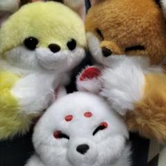 AMUFUN キツネ ぬいぐるみ 3種類セット