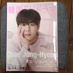 もっと知りたい！韓国TVドラマ　vol.120　チェ・ジョンヒョプ　新品！のサムネイル