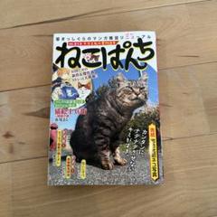 【中古】 ねこぱんち ｎｏ．１６１/少年画報社 ねこぱんち 新年猫号 (にゃんCOMI廉価版コミック