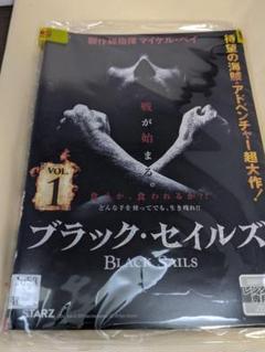 BLACK SAILS/ブラック・セイルズ [レンタル落ち]全4巻 r310