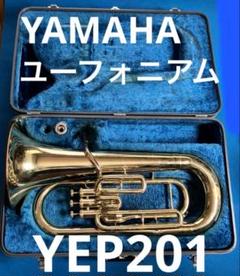 2025年最新】yep201の人気アイテム - メルカリ