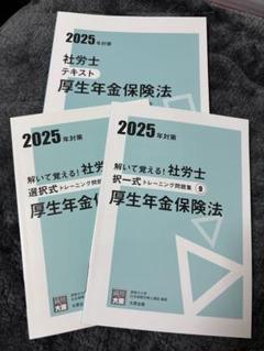 2025年 社労士 厚生年金保険法 テキスト