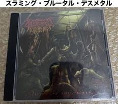 ブルデス　ブルータルデスメタル　スラミングデスメタル　6枚セット スラミング・ブルータル・デスメタル 名盤TOP15 (2022年下半期