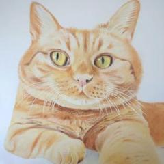 猫茶 (※)メルカリ便 m82712603202_1.jpg?1722996419