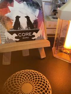 ZORO ゾロ　core CD V系　ヴィジュアル系　ビジュアル系　そろばんのサムネイル