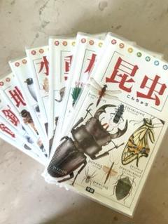 学研 ポケット科学図鑑 全8巻セット