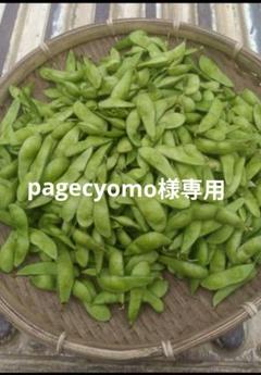 枝豆様★専用 枝豆様☆専用 - メルカリ