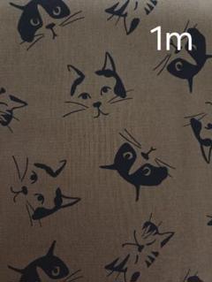 猫フェイス柄生地